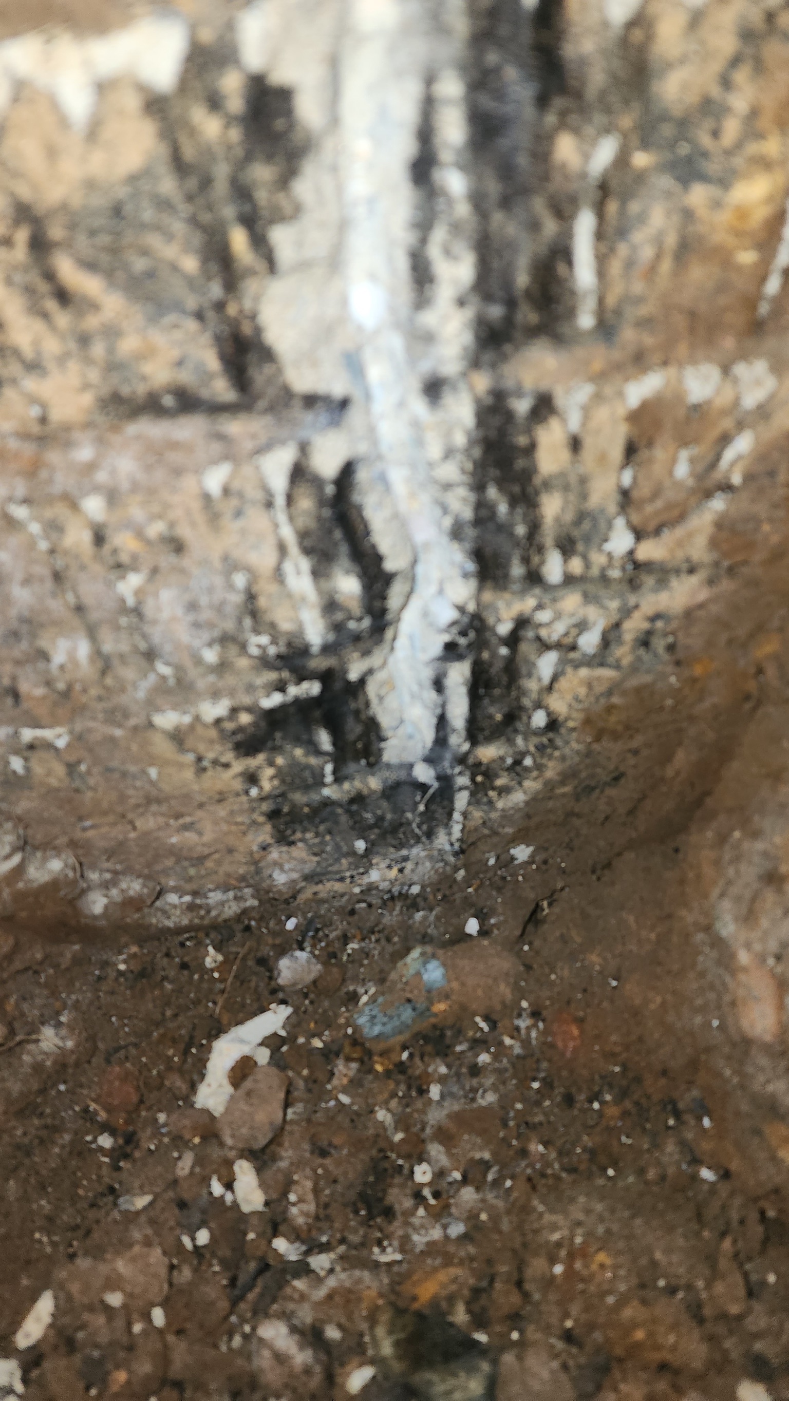 Foundation wall cracks from exterior — classic slab foundation settlement damage