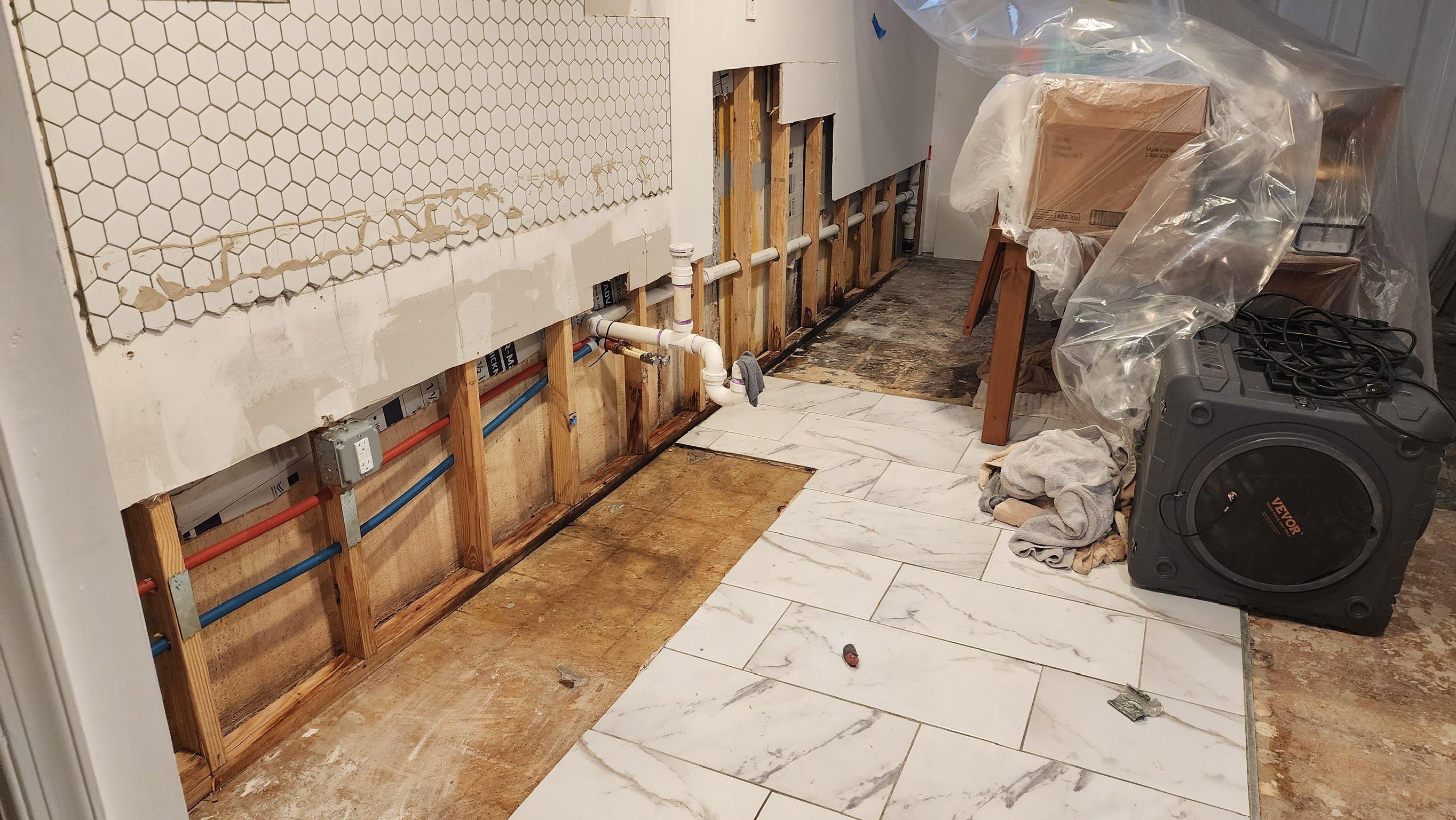 Wet basement with mold growth from crawl space moisture